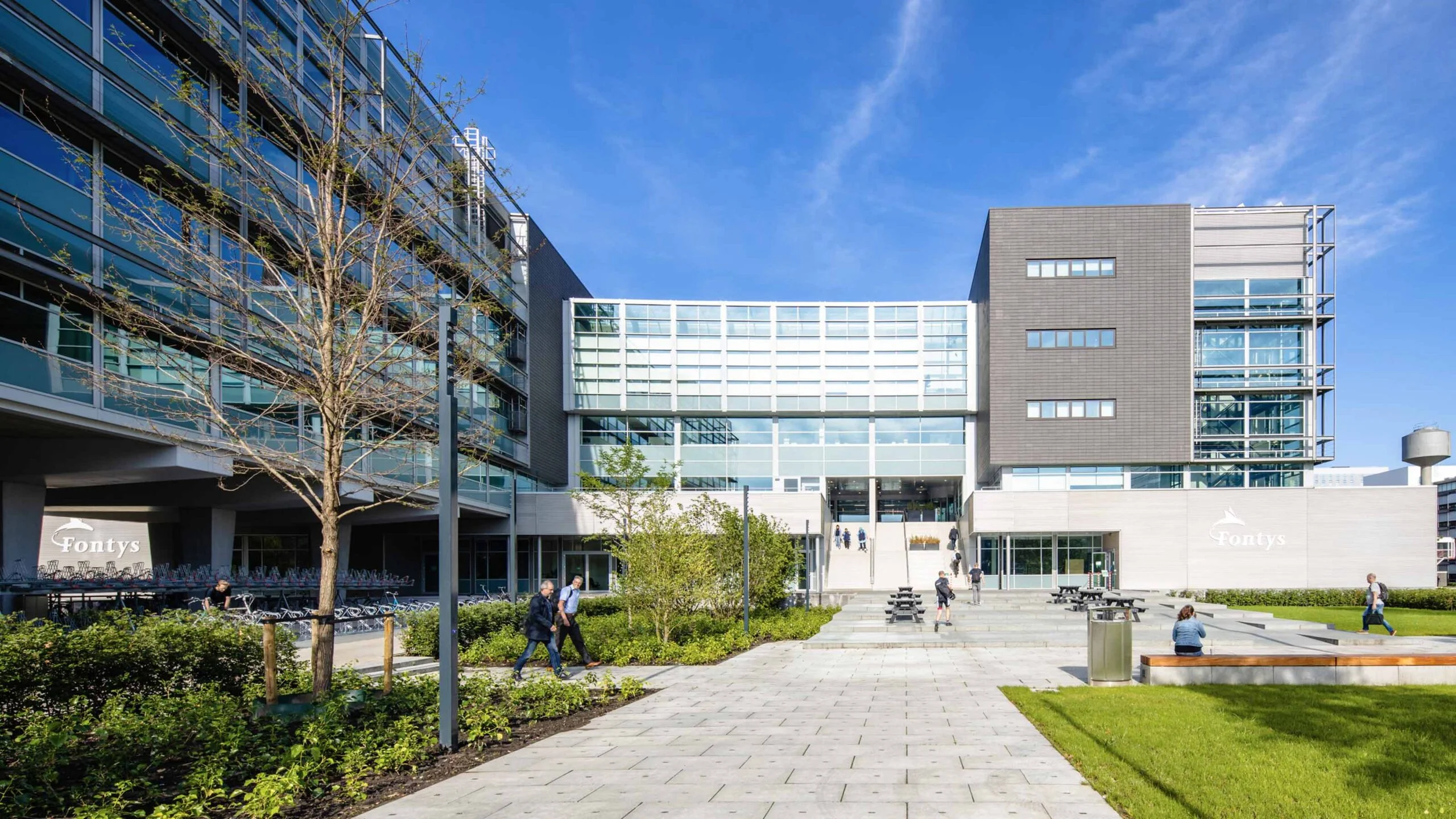 Fontys