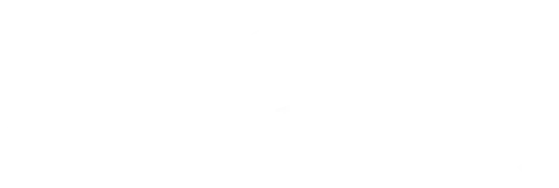 Breda University of Applied Sciences | Studium v Nizozemsku Breda University of Applied Sciences