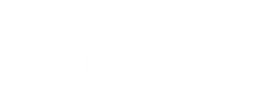 InHolland University of Applied Sciences